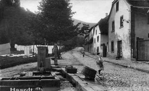 Harald Bruckert, Vom Laufbrunnen zum Wasserwerk. Der Ausbau der Trinkwasserversorgung in der Pfalz im 19. und 20. Jahrhundert